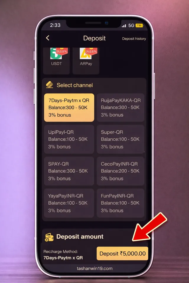 Tashanwin deposit screen showing payment channel options